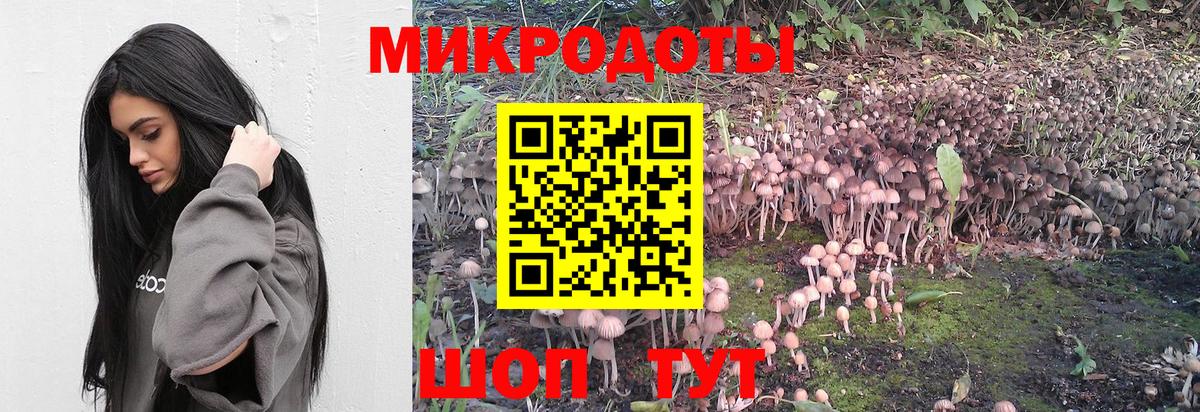 Галлюциногенные грибы Psilocybine cubensis  Вход с VPN  Галлюциногенные грибы Psilocybine cubensis  Дубна 