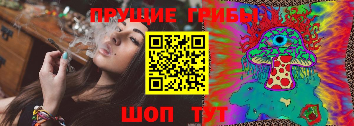 Псилоцибиновые грибы GOLDEN TEACHER Дубна